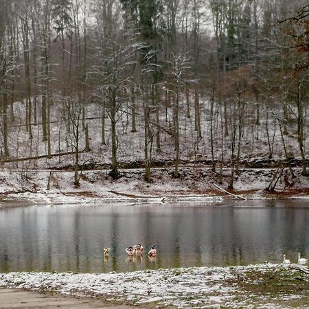 Bosko Domki Z Sauna I Balia W Sulminie Obok Gdanska Exteriör bild